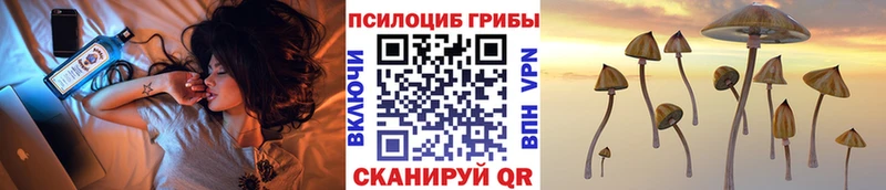 Галлюциногенные грибы Cubensis  даркнет сайт  MEGA ТОР  Пионерский 